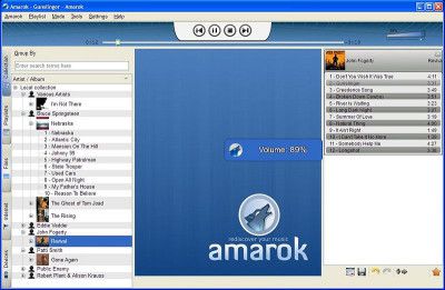 amarok_windows_alpha_120707.jpg