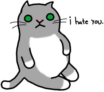 cats_i_hate_you_natalie_dee_072511.jpg