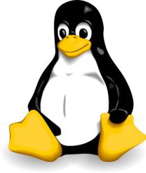 linux_penguin_full_news_logo.jpg