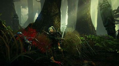 the_witcher_2_051811.jpg