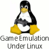 game_console_emulation_linux.gif