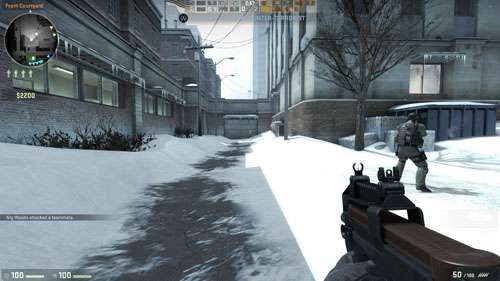 Counter-Strike: Global Offensive