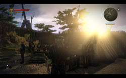 Witcher 2 Screenshot