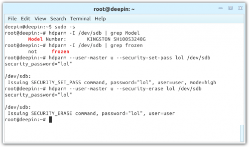 secure erase command