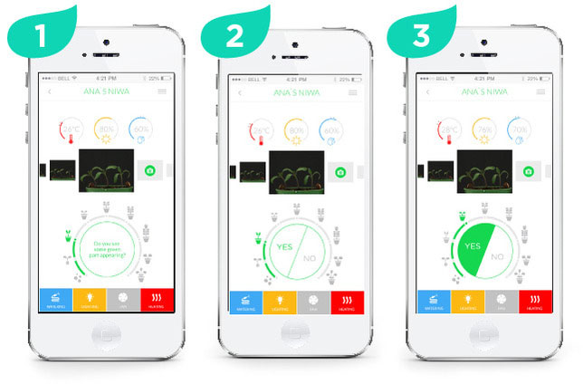 Niwa Mobile App