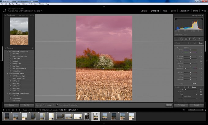 Adobe Photoshop Lightroom CC / 6 - Filter Brush