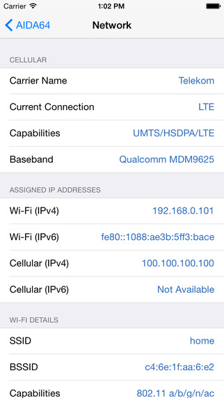 AIDA 64 (iOS Version) - Network Information