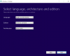 Windows 10 Media Creation Tool - Select Language & Version