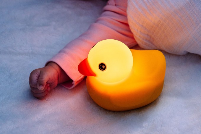 Edwin the Duck Learning Toy