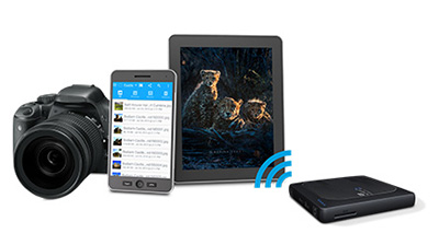 WD Pro Wireless Press Shot