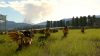 Final Fantasy XV