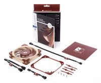 noctua nf a12x25 pwm 5