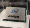 Intel Cascade Lake CPU Crop